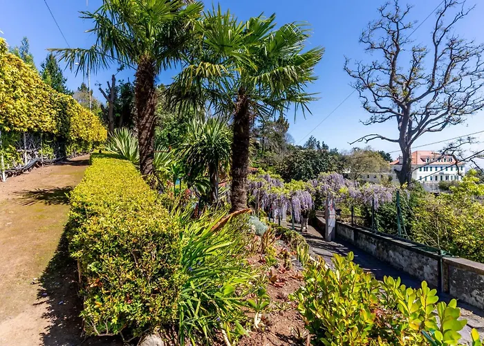 Quinta Belmonte With Private Heated Pool In Funchal